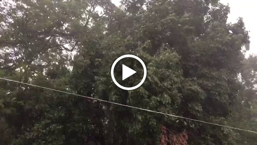 Tourist Attraction «Dig This Las Vegas», reviews and photos, 3012 S Rancho Dr, Las Vegas, NV 89102, USA