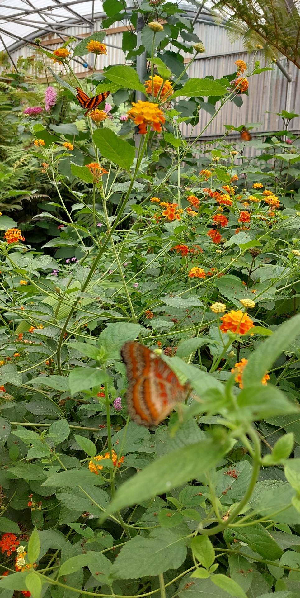 Photo n° 5 de l'avis de Didier.a fait le 22/06/2023 à 16:12