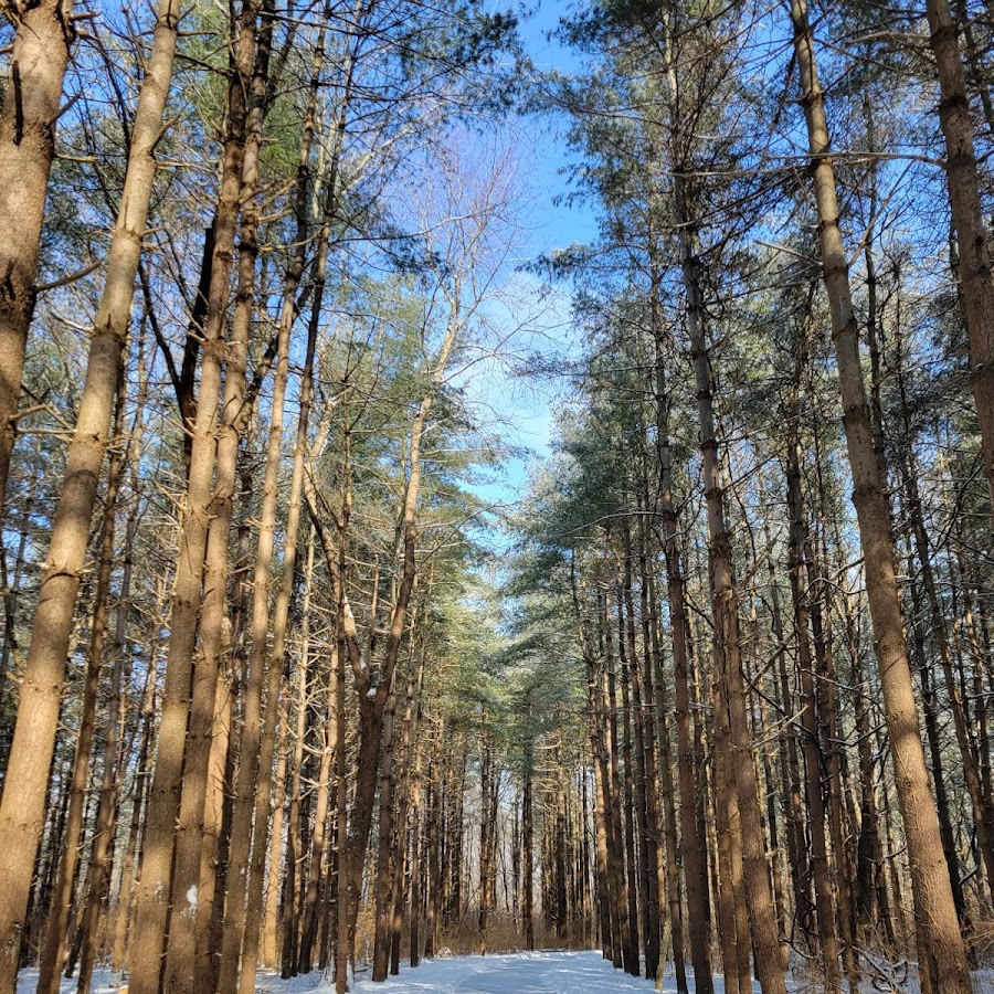 Walnut Woods Metro Park