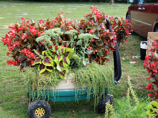 Florist «St. Clair Greenhouses & Florist», reviews and photos, 7043 Big Hand Rd, St Clair, MI 48079, USA