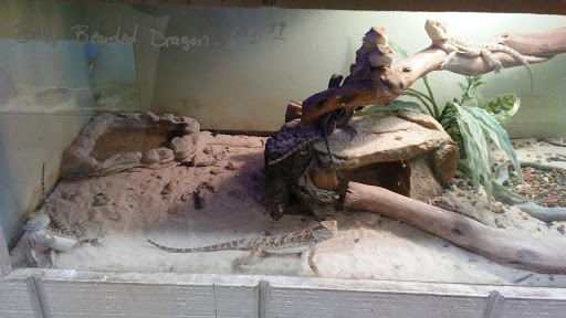 Pet Store «Critter Corner Pet Shop», reviews and photos, 1796 E Vaile Ave, Kokomo, IN 46901, USA