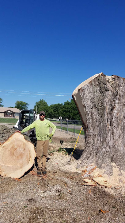 Wallin Tree Service & Stump Grinding