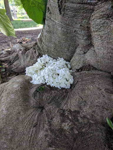 Park «Jergens Park», reviews and photos, 1615 Bruce Ave, Cincinnati, OH 45223, USA