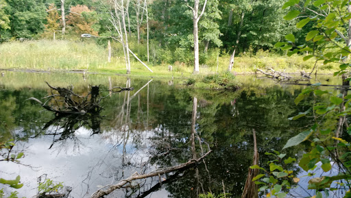 Hiking Area «Den Rock Park», reviews and photos, Stirling St, Andover, MA 01810, USA