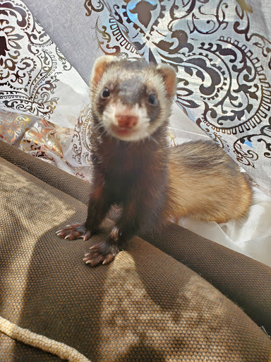 Pet Supply Store «Petco Animal Supplies», reviews and photos, 4491 Kirkwood Hwy, Wilmington, DE 19808, USA