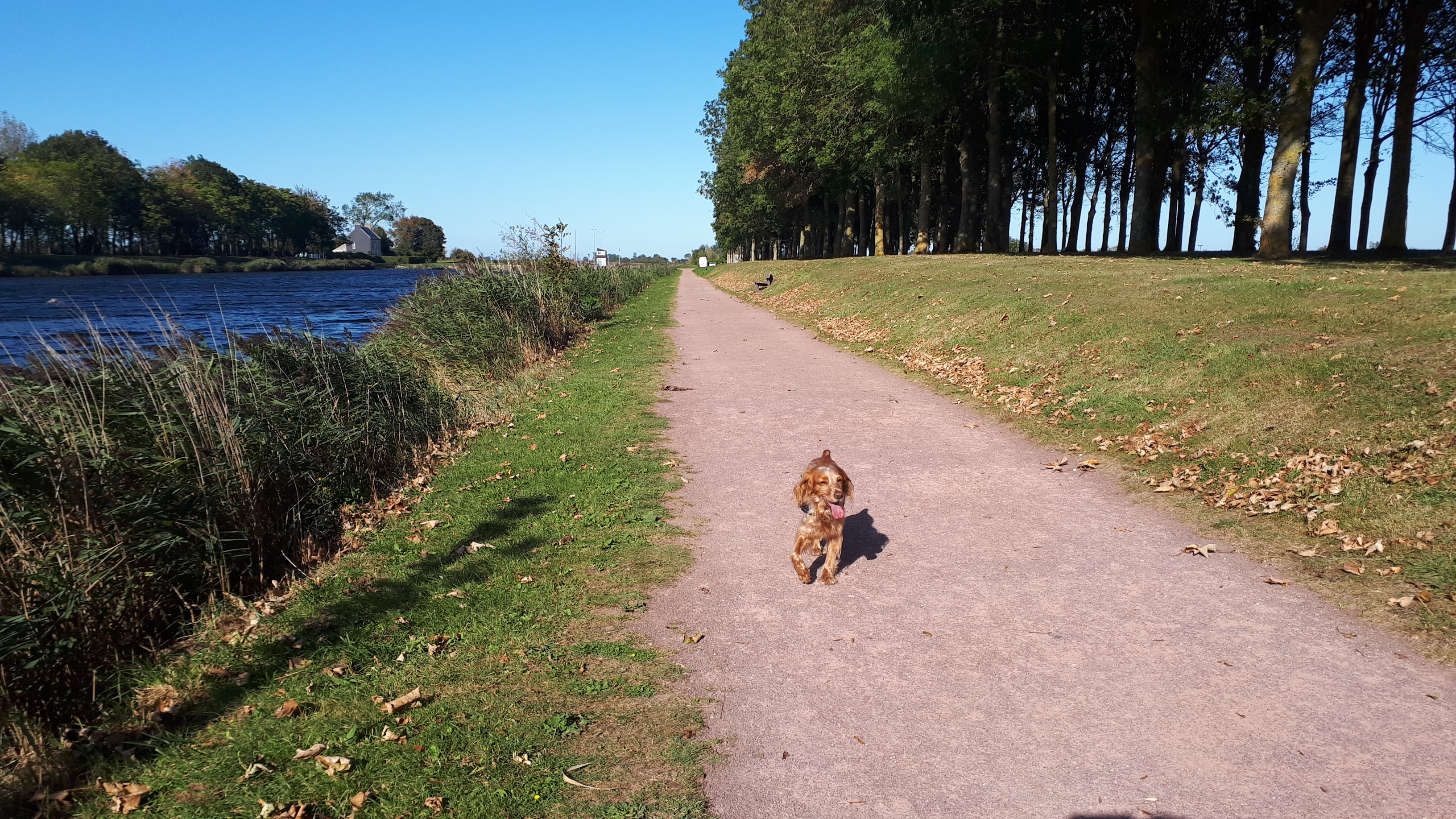 Photo n° 11 de l'avis de nathalie.a fait le 20/09/2019 à 09:00