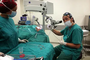Δρ. Ελένη Δ. Περάκη | Χειρουργός ΩΡΛ image