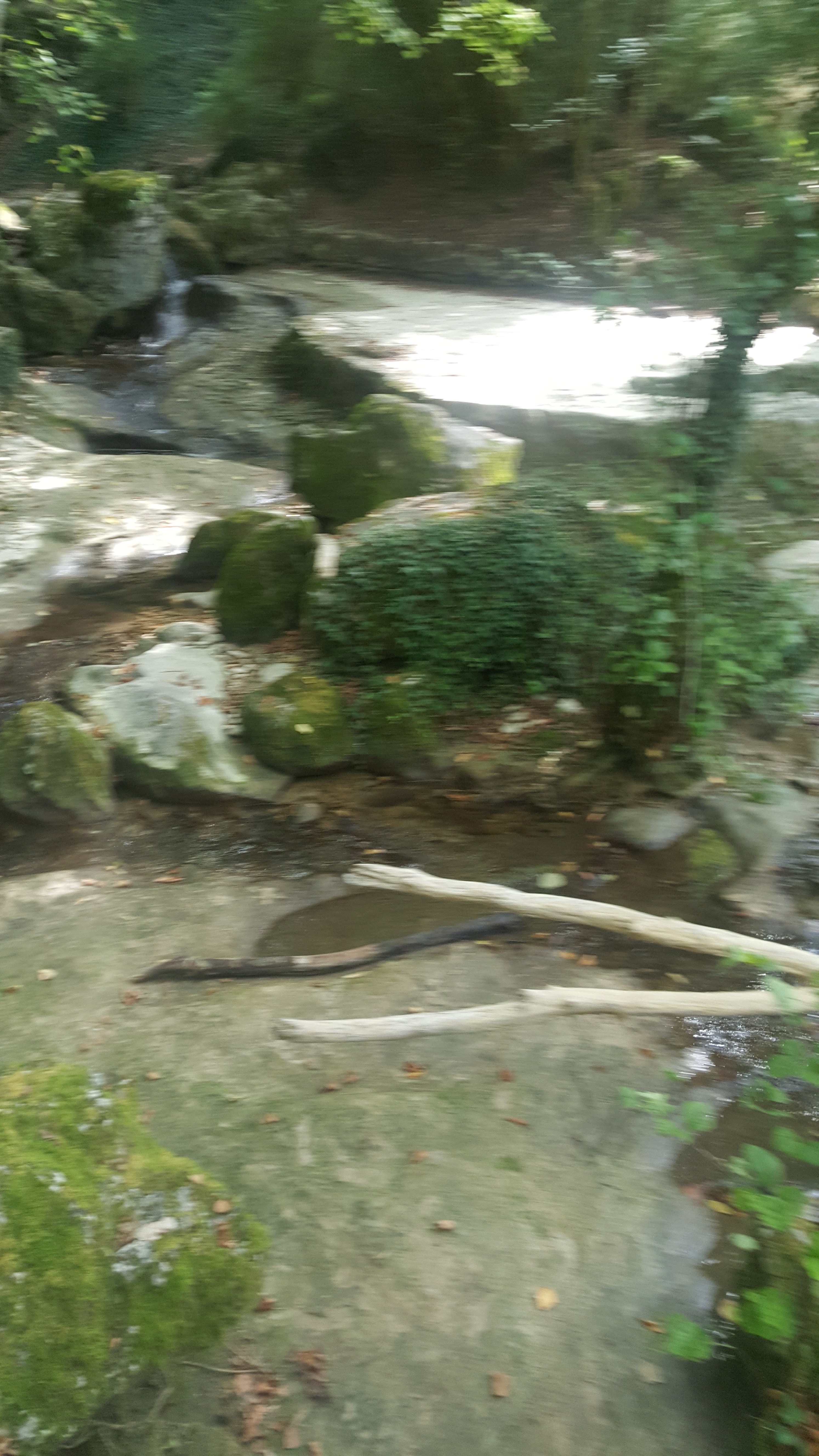 Photo n° 7 de l'avis de Vivi.o fait le 10/09/2018 à 07:44