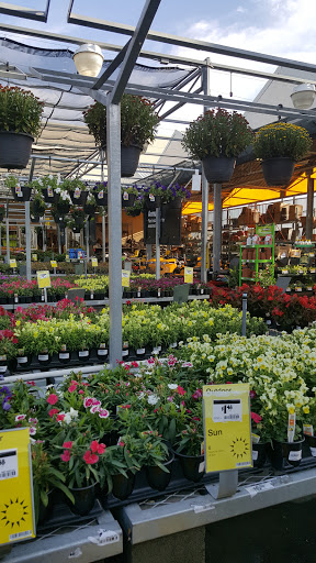 Home Improvement Store «The Home Depot», reviews and photos, 373 E Fm 1382, Cedar Hill, TX 75104, USA