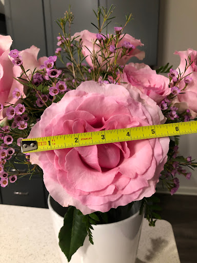 Florist «In Full Bloom Flowers + Gifts», reviews and photos, 3970 Dodson Chapel Rd, Nashville, TN 37076, USA