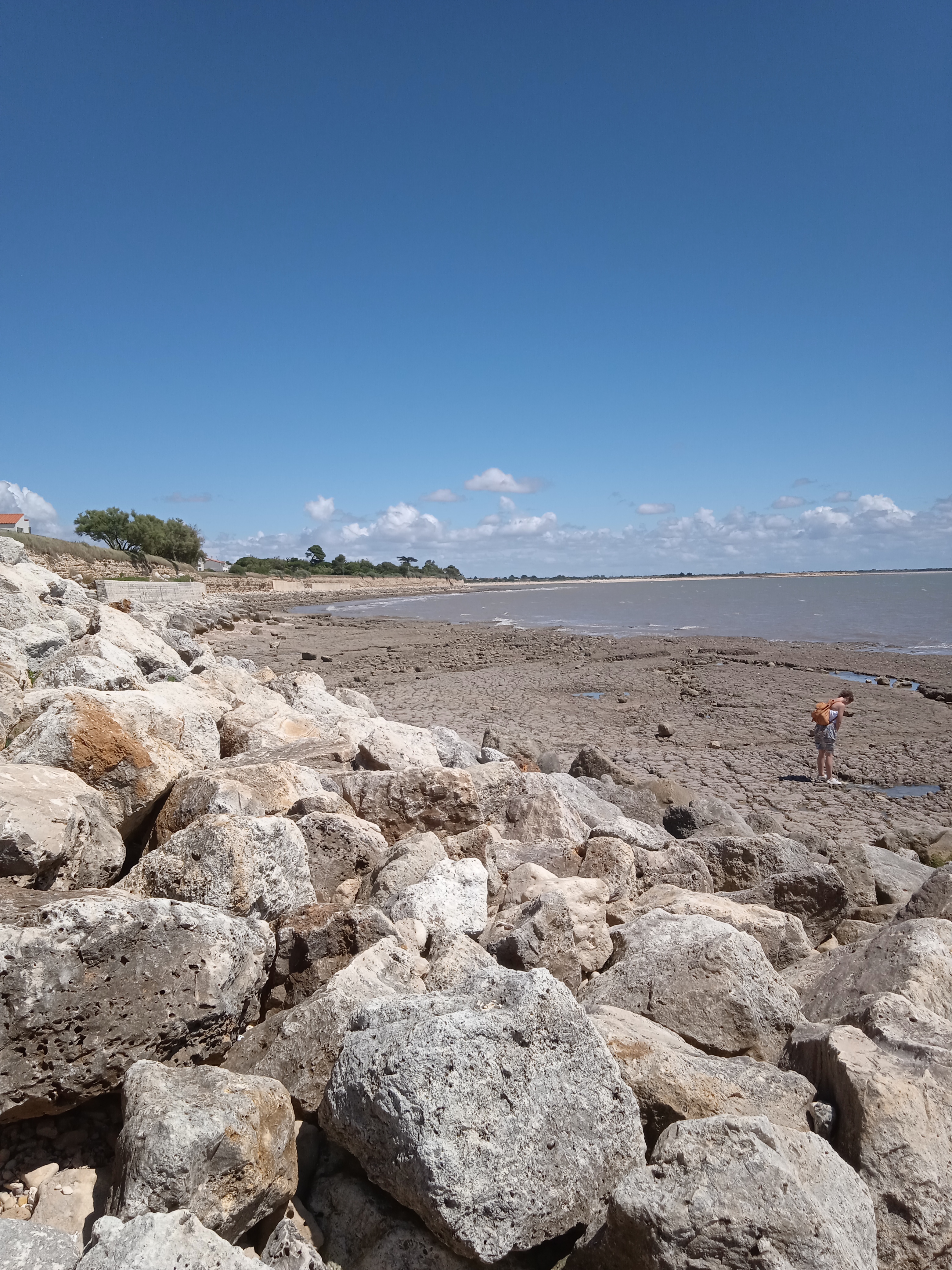 Photo n° 3 de l'avis de Zdenek.� fait le 30/06/2022 à 18:24