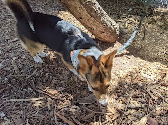 The Bark Park