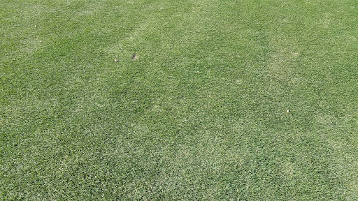 Golf Club «Persimmon Ridge Golf Club», reviews and photos, 72 Persimmon Ridge Dr, Louisville, KY 40245, USA