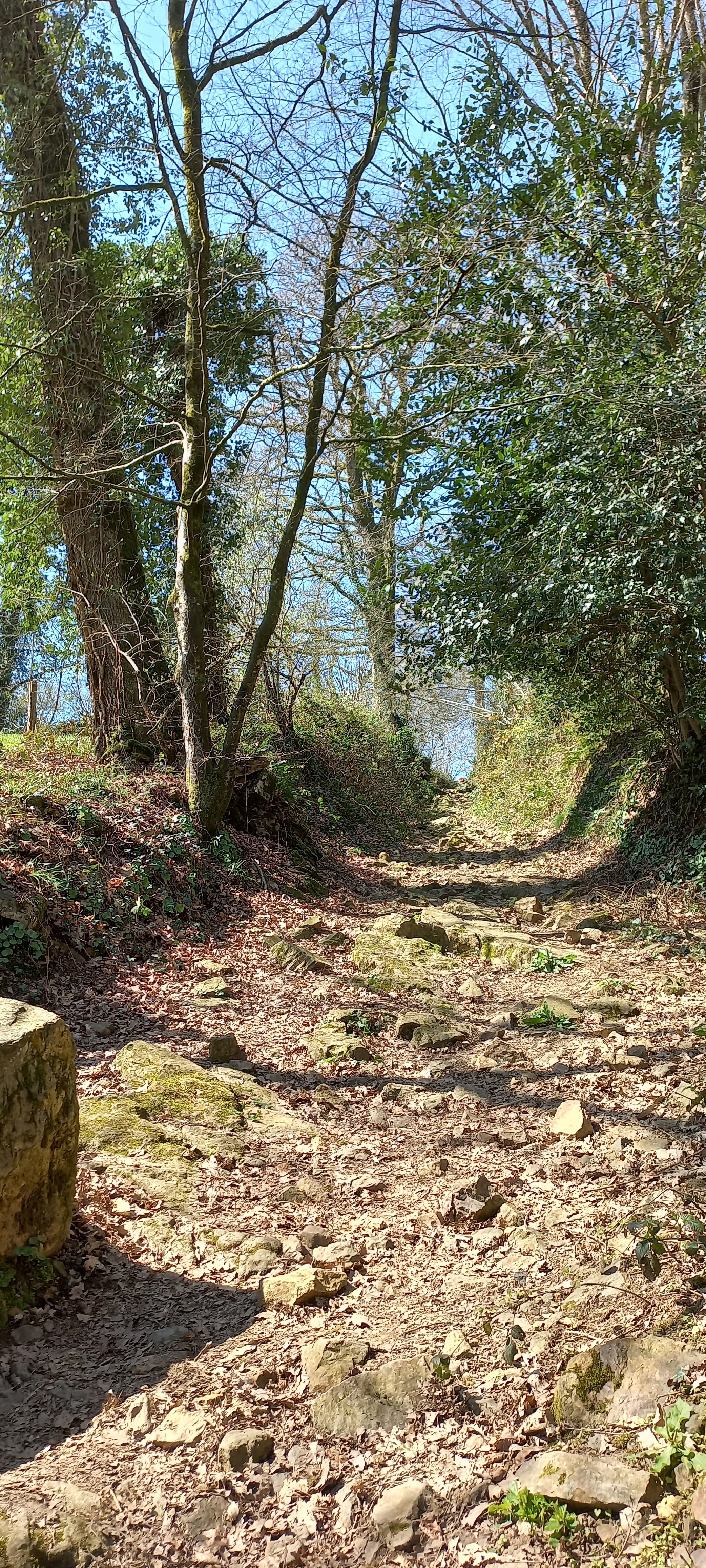 Photo n° 13 de l'avis de Françoise.o fait le 16/04/2023 à 15:18