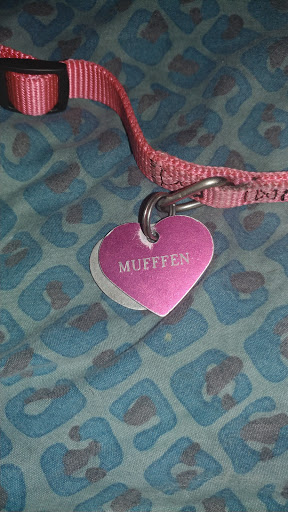 Shopping Mall «Gallery Place», reviews and photos, 616 H St NW, Washington, DC 20001, USA