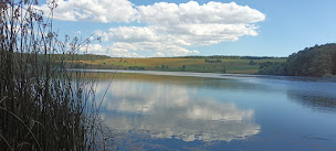 Photo n°51 de Restaurant Du Lac Sauvage à Dienne ()