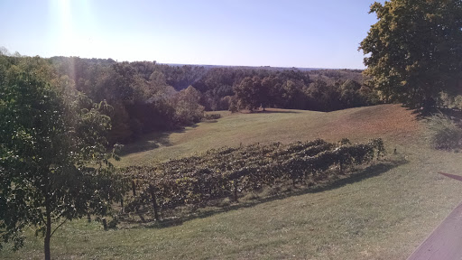 Winery «Pleasant Hill Winery», reviews and photos, 5015 Pleasant Hill Rd, Athens, OH 45701, USA