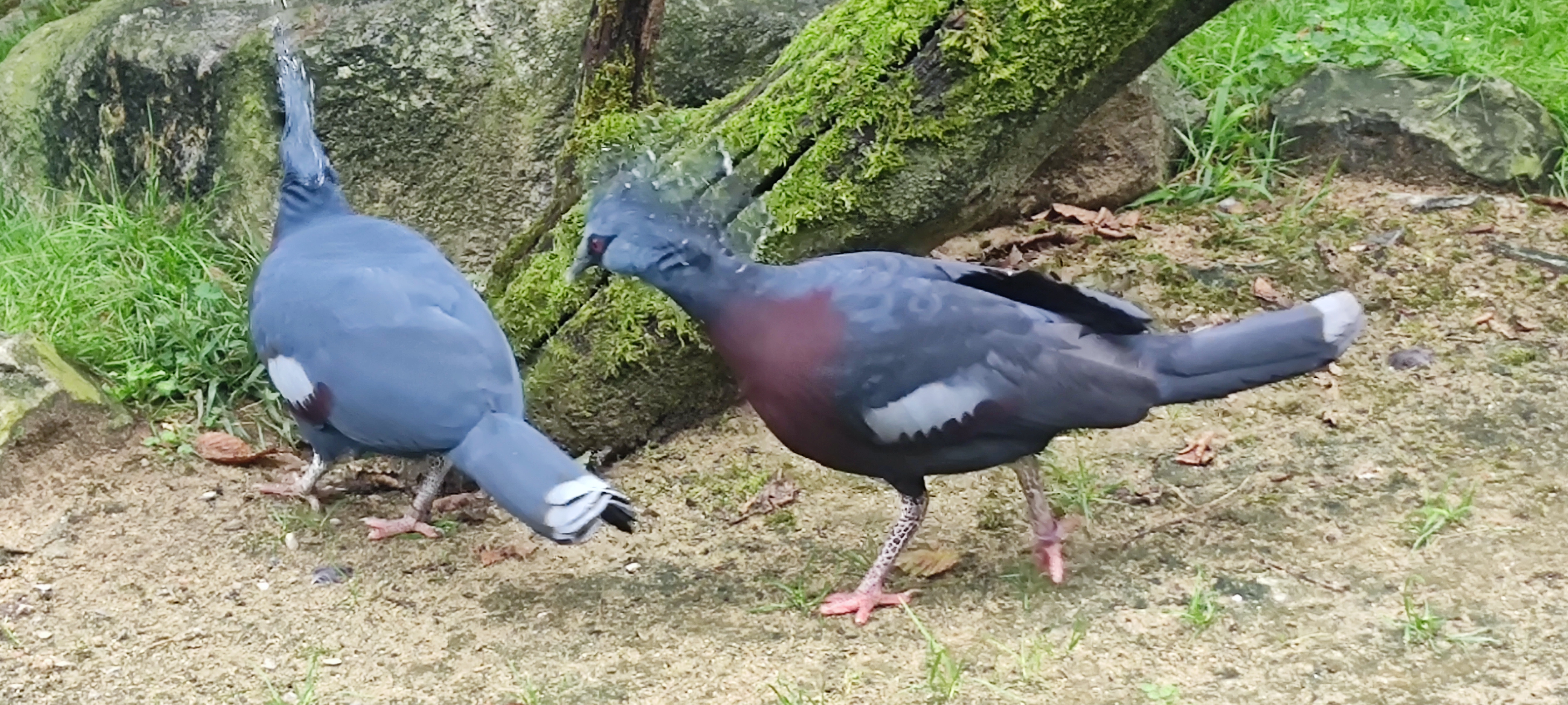 Photo n° 5 de l'avis de Yvette.o fait le 05/09/2023 à 07:55