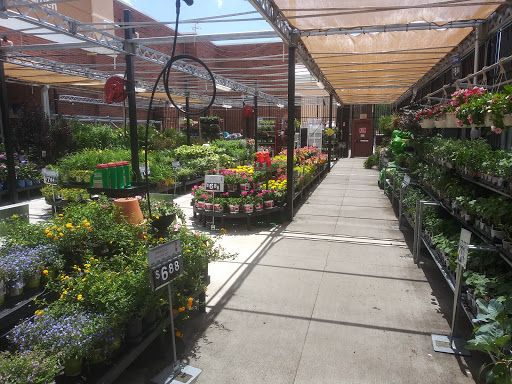 Department Store «Walmart Supercenter», reviews and photos, 260 Donald E Thurmond Pkwy, Cleveland, GA 30528, USA