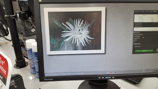 Craft Store «Michaels», reviews and photos, 6140 20th St, Vero Beach, FL 32966, USA