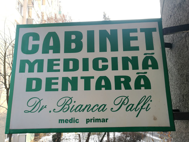 Cabinet Medicina Dentara Palfi - Dentist