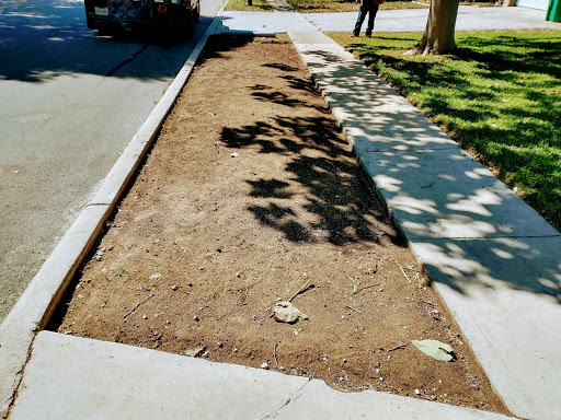 Commercial Tree Care Services 4