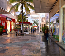 Lacoste Outlet photo