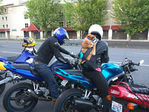 Motorcycle Dealer «Seattle Used Bikes», reviews and photos, 4905 Aurora Ave N, Seattle, WA 98103, USA