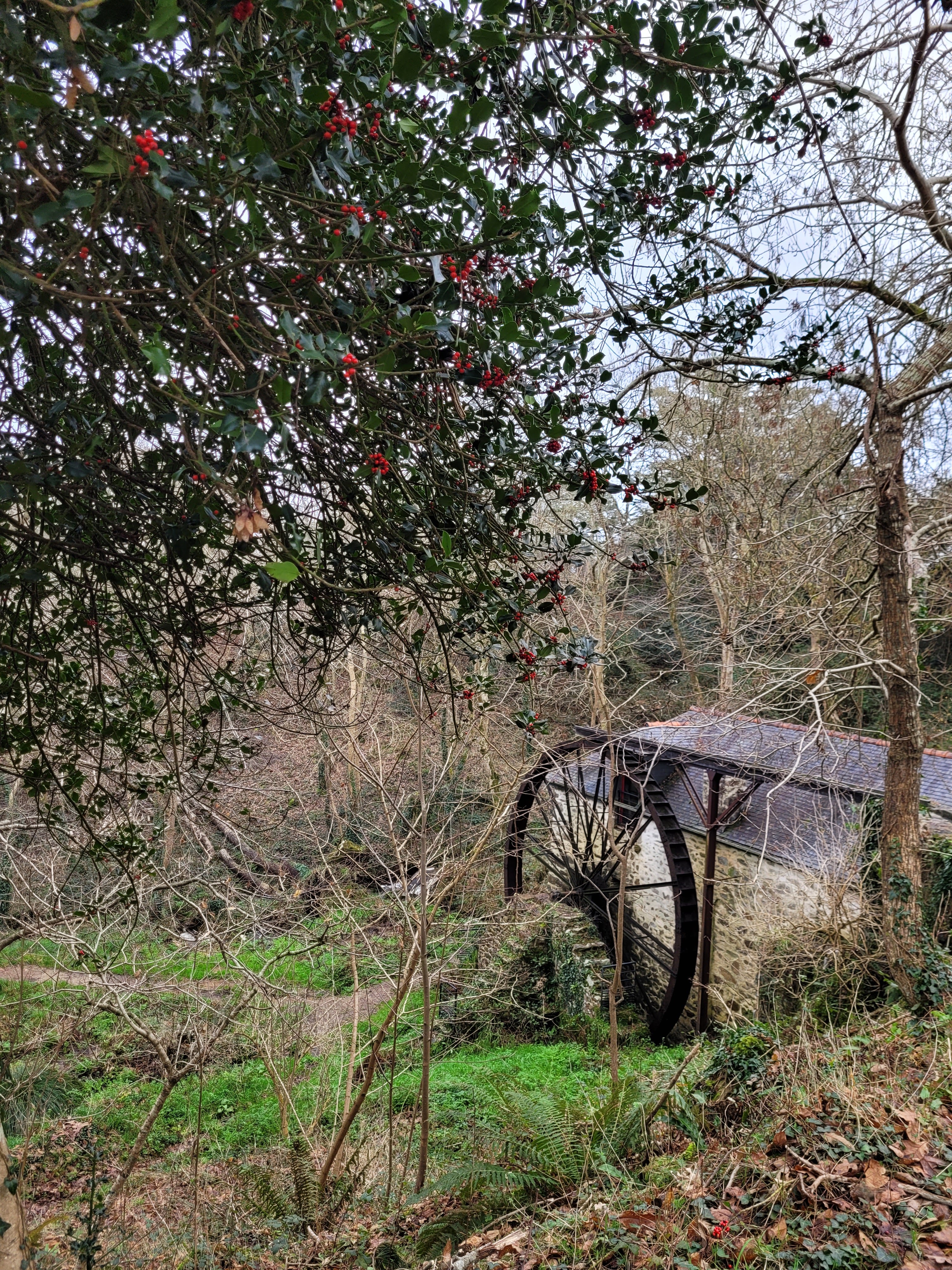 Photo n° 3 de l'avis de Bérangère.e fait le 26/12/2023 à 19:30