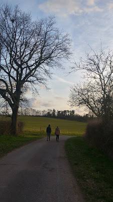 Boischaut Bois à Vallenay