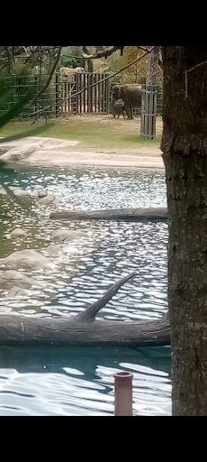 Zoo «Fort Worth Zoo», reviews and photos, 1989 Colonial Pkwy, Fort Worth, TX 76110, USA