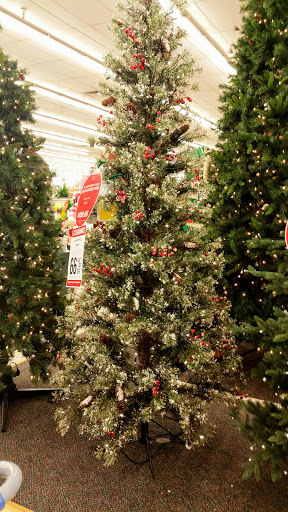 Craft Store «Hobby Lobby», reviews and photos, 108 Franklin Ave, Spartanburg, SC 29301, USA