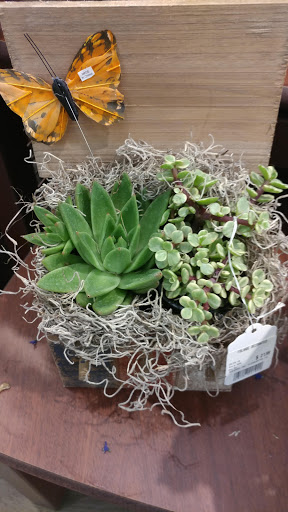 Grocery Store «Safeway», reviews and photos, 1159 W Chandler Blvd, Chandler, AZ 85224, USA