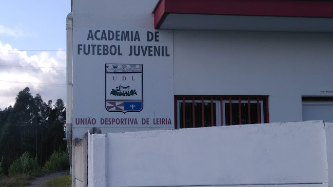 Academia de Futebol Juvenil da União Desportiva de Leiria - Leiria