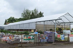 Kennedy Greenhouses image