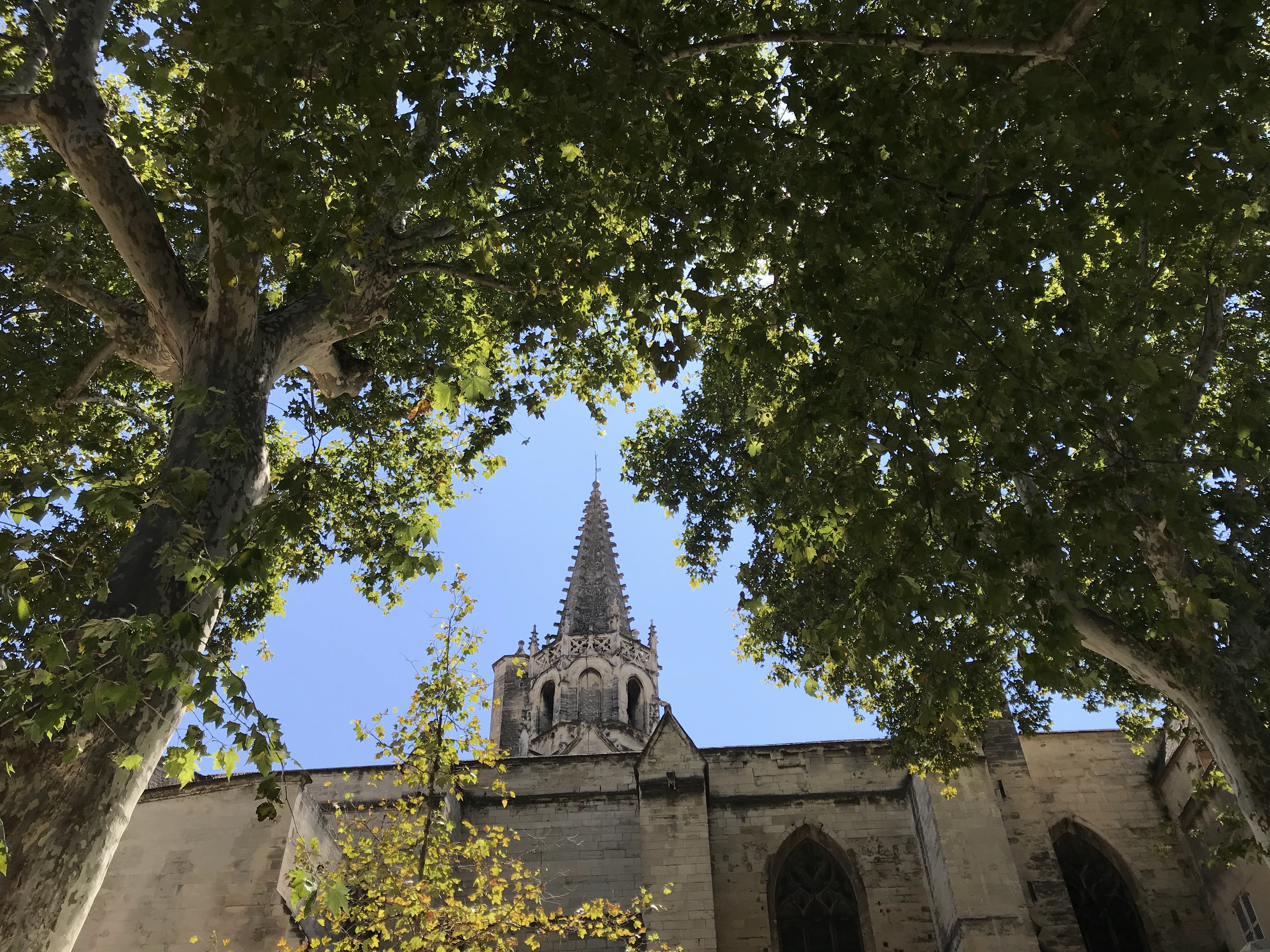 Photo n° 9 de l'avis de Elza.b fait le 17/08/2018 à 07:47
