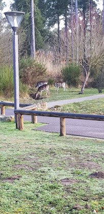 Photos des visiteurs Gîte Cottage 147 86120 Morton