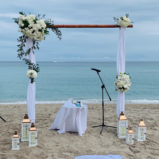 Florist «Abbott Florist», reviews and photos, 1008 71st St, Miami Beach, FL 33141, USA