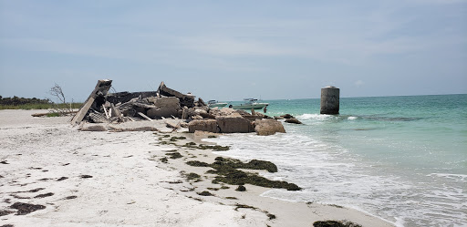 Boat Tour Agency «Dolphin Snorkeling Cruise», reviews and photos, 4630 29th Ave S, Gulfport, FL 33711, USA