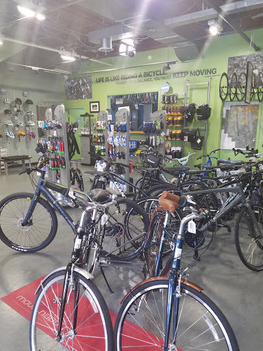 Bicycle Store «Arrow Bicycle», reviews and photos, 5108 Baltimore Ave, Hyattsville, MD 20781, USA