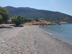 Murdala beach'in fotoğrafı ve güzel manzarası