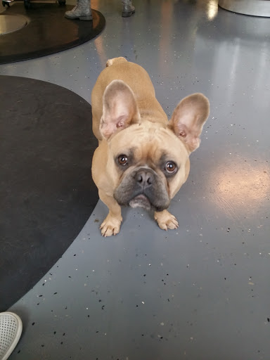 Beauty Salon «Aqua Beauty Lounge», reviews and photos, 270 Capistrano Rd #12, Half Moon Bay, CA 94019, USA