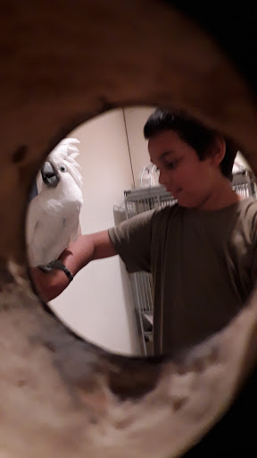 Pet Supply Store «Petco Animal Supplies», reviews and photos, 4440 Rib Mountain Dr, Wausau, WI 54401, USA