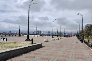 Embankment of the Amur R. image