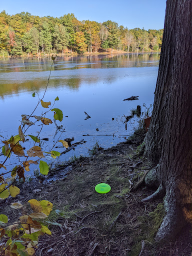 Outdoor Sports Store «Maple Hill Disc Golf», reviews and photos, 132 Marshall St, Leicester, MA 01524, USA