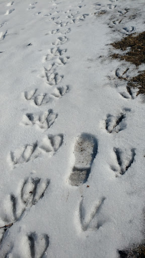 Park «Smith Park», reviews and photos, 8155 Park Ave S, Bloomington, MN 55420, USA