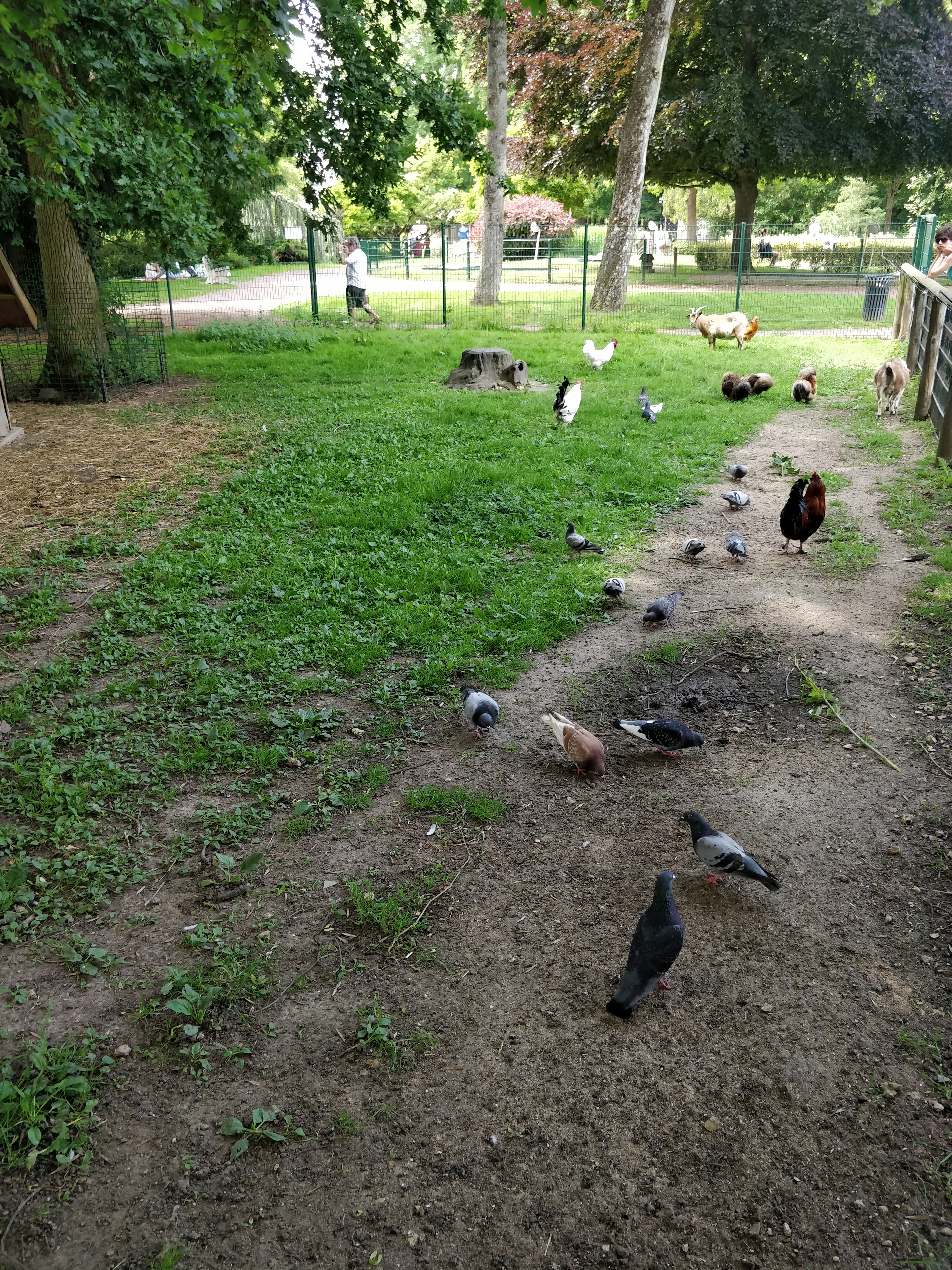 Photo n° 11 de l'avis de Be.a fait le 29/06/2019 à 08:30