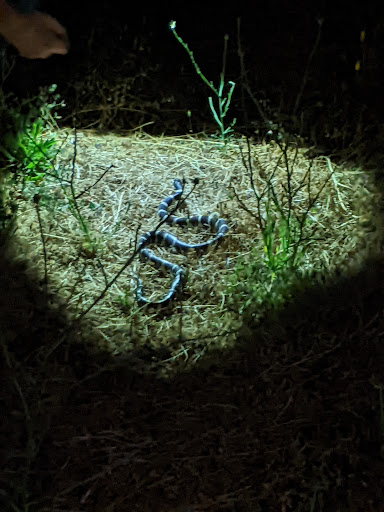 Observatory «Community Observatory», reviews and photos, 6699 Campus Dr, Placerville, CA 95667, USA