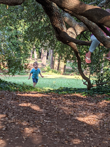 Park «Holmes Park», reviews and photos, Twin Lake Rd, Greenville, SC 29609, USA