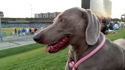 Stadium «BB&T Ballpark», reviews and photos, 324 S Mint St, Charlotte, NC 28202, USA
